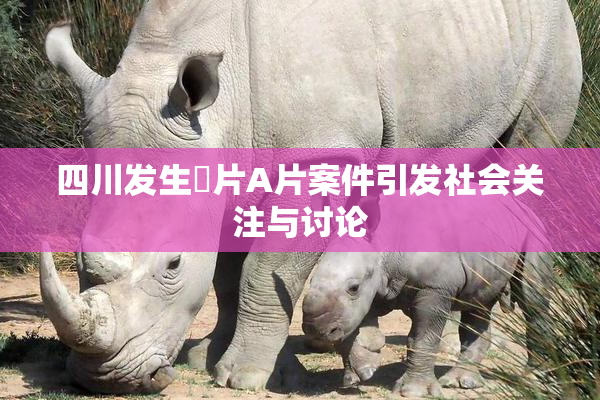 四川发生婬片A片案件引发社会关注与讨论