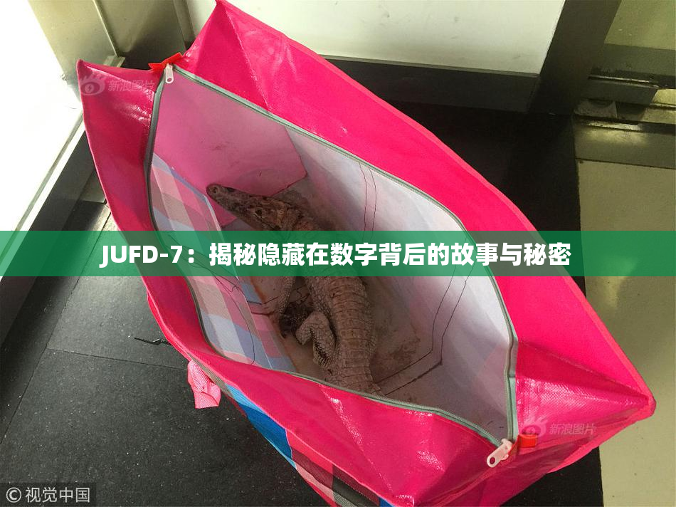 JUFD-7：揭秘隐藏在数字背后的故事与秘密