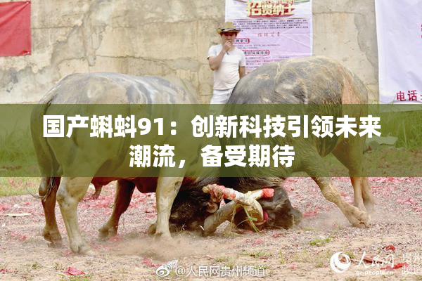 国产蝌蚪91：创新科技引领未来潮流，备受期待
