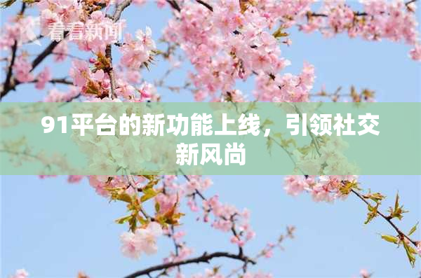 91平台的新功能上线，引领社交新风尚