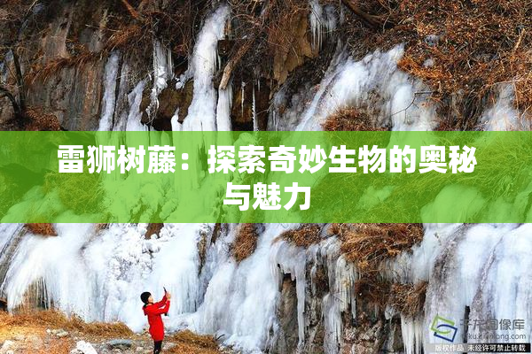 雷狮树藤：探索奇妙生物的奥秘与魅力