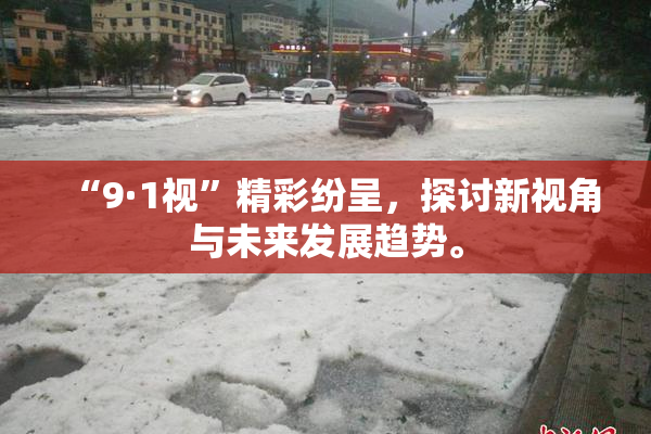 “9·1视”精彩纷呈，探讨新视角与未来发展趋势。
