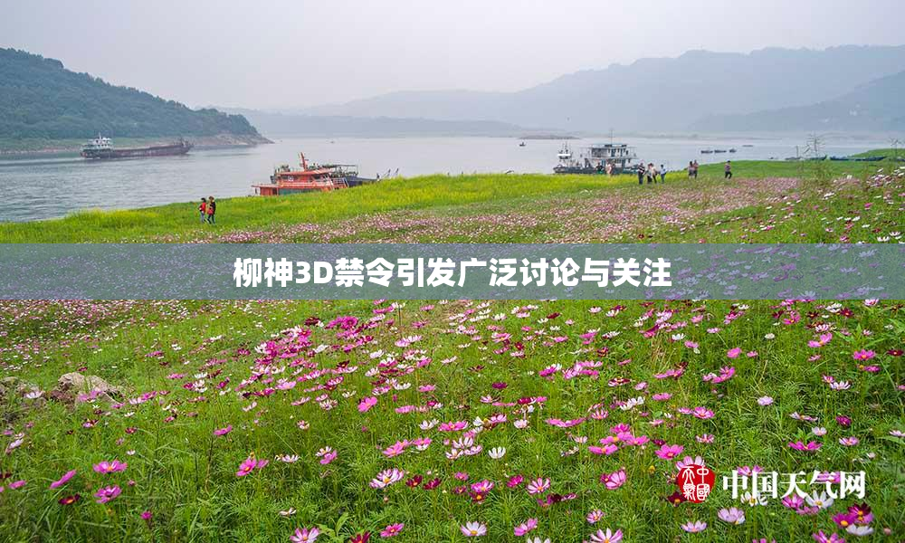 柳神3D禁令引发广泛讨论与关注