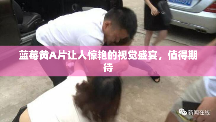 蓝莓黄A片让人惊艳的视觉盛宴，值得期待