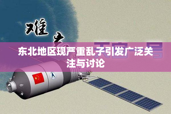 东北地区现严重乱子引发广泛关注与讨论