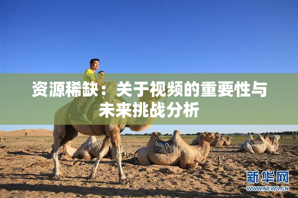 资源稀缺：关于视频的重要性与未来挑战分析