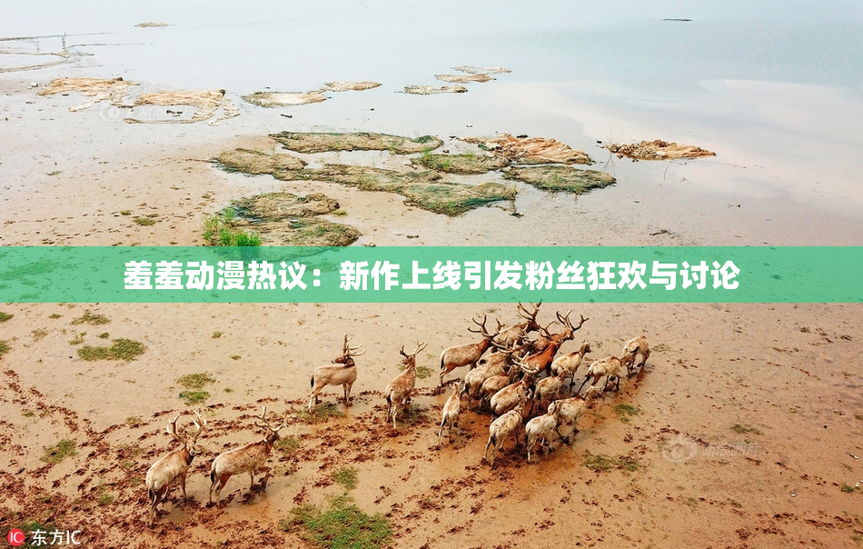 羞羞动漫热议：新作上线引发粉丝狂欢与讨论