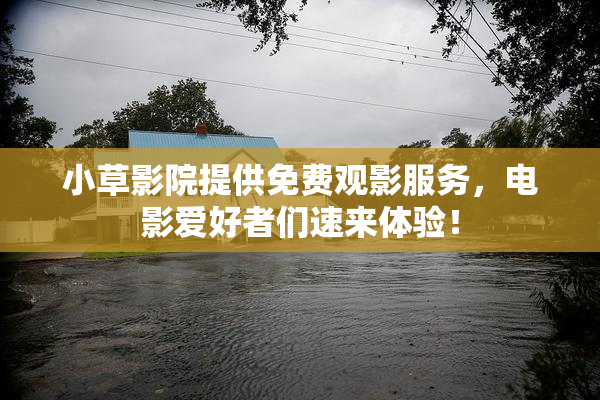 小草影院提供免费观影服务，电影爱好者们速来体验！