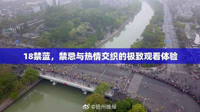 18禁蓝，禁忌与热情交织的极致观看体验