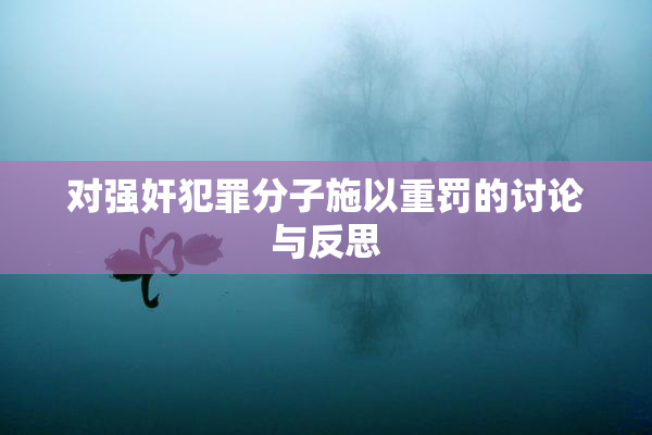 对强奸犯罪分子施以重罚的讨论与反思