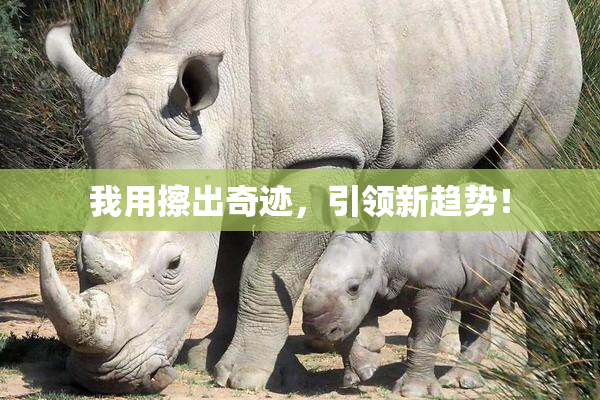 我用擦出奇迹，引领新趋势！