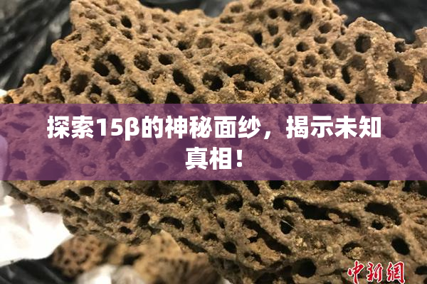 探索15β的神秘面纱，揭示未知真相！