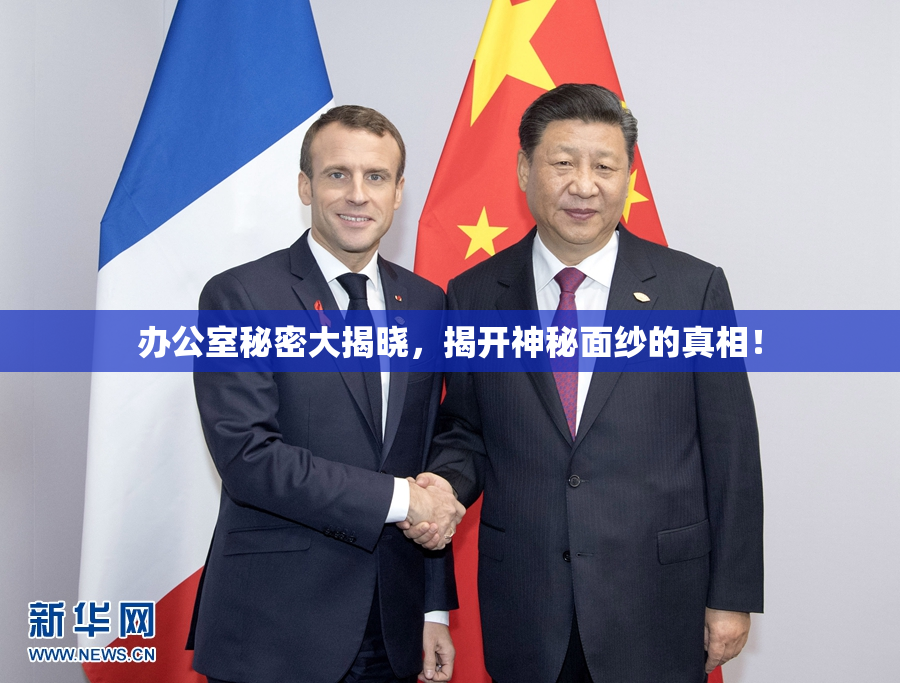 办公室秘密大揭晓，揭开神秘面纱的真相！