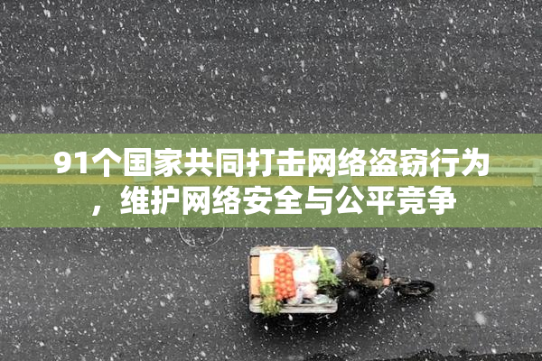 91个国家共同打击网络盗窃行为，维护网络安全与公平竞争