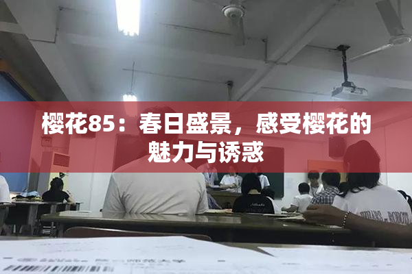 樱花85：春日盛景，感受樱花的魅力与诱惑