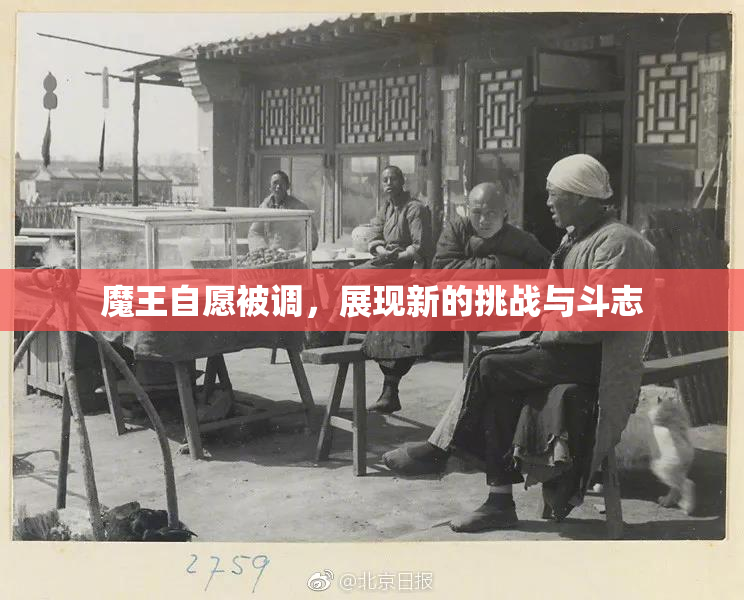 魔王自愿被调，展现新的挑战与斗志