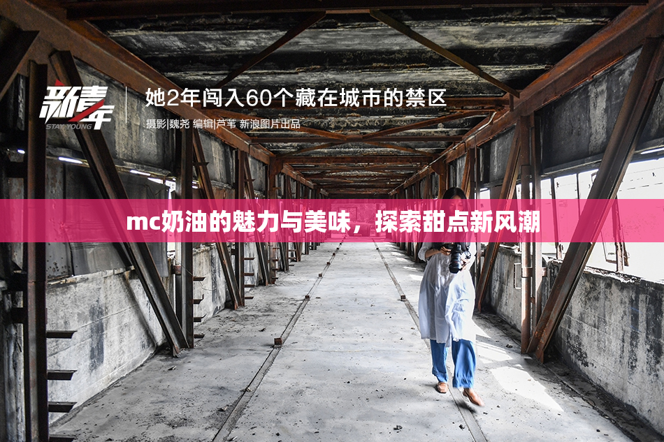 mc奶油的魅力与美味，探索甜点新风潮
