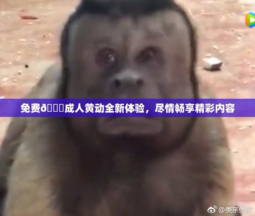 免费🔞成人黄动全新体验，尽情畅享精彩内容