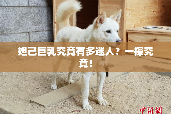 妲己巨乳究竟有多迷人？一探究竟！