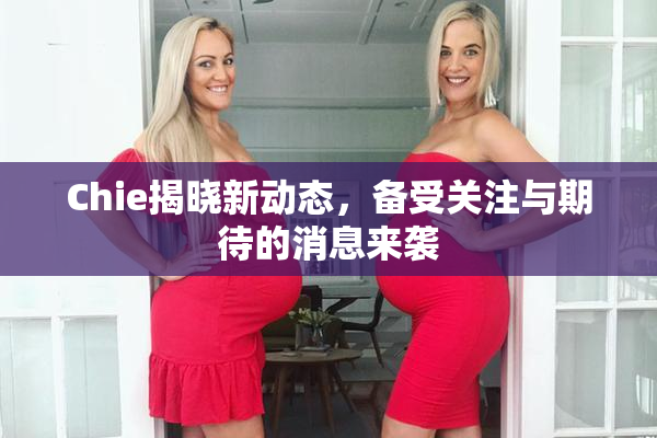 Chie揭晓新动态，备受关注与期待的消息来袭