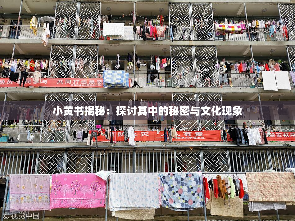 小黄书揭秘：探讨其中的秘密与文化现象