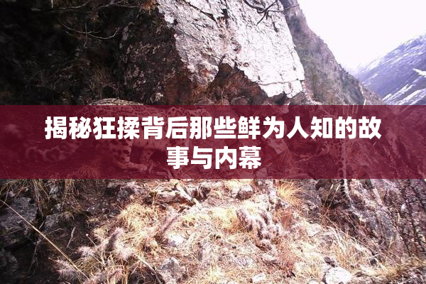 揭秘狂揉背后那些鲜为人知的故事与内幕