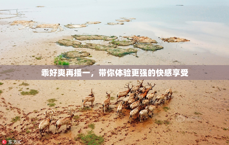 乖好爽再搔一，带你体验更强的快感享受