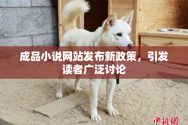 成品小说网站发布新政策，引发读者广泛讨论