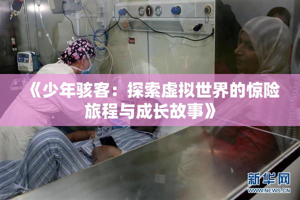 《少年骇客：探索虚拟世界的惊险旅程与成长故事》