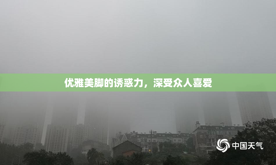 优雅美脚的诱惑力，深受众人喜爱