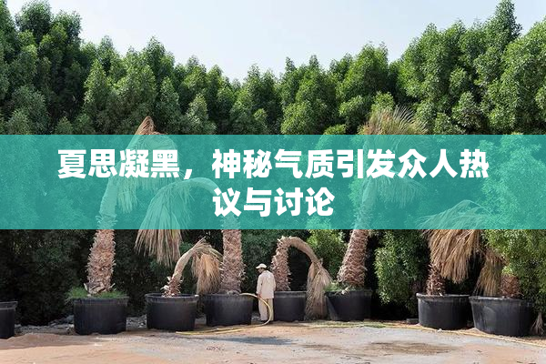 夏思凝黑，神秘气质引发众人热议与讨论