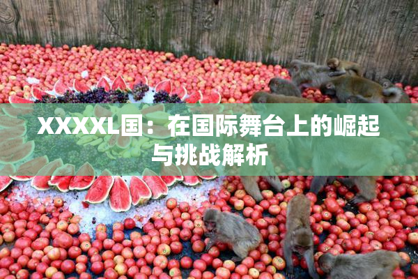 XXXXL国：在国际舞台上的崛起与挑战解析