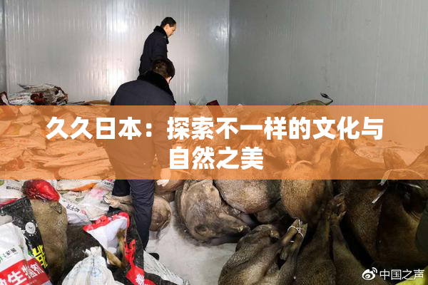 久久日本：探索不一样的文化与自然之美