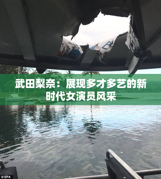 武田梨奈：展现多才多艺的新时代女演员风采