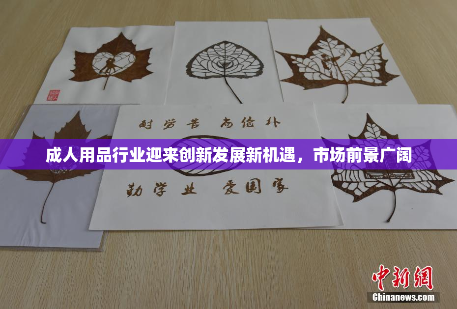 成人用品行业迎来创新发展新机遇，市场前景广阔