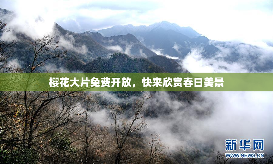 樱花大片免费开放，快来欣赏春日美景