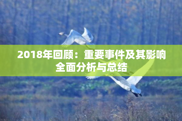 2018年回顾：重要事件及其影响全面分析与总结