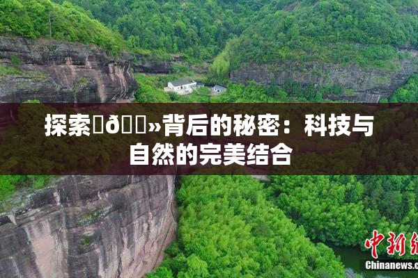 探索‌🐻背后的秘密：科技与自然的完美结合