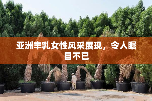 亚洲丰乳女性风采展现，令人瞩目不已