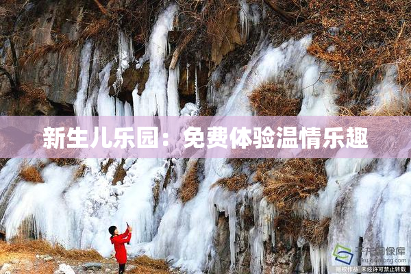 新生儿乐园：免费体验温情乐趣