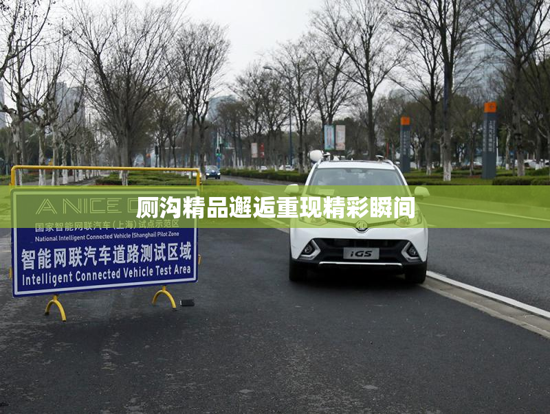 厕沟精品邂逅重现精彩瞬间