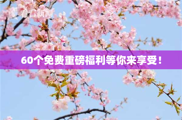60个免费重磅福利等你来享受！