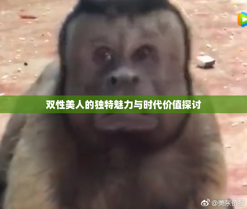 双性美人的独特魅力与时代价值探讨