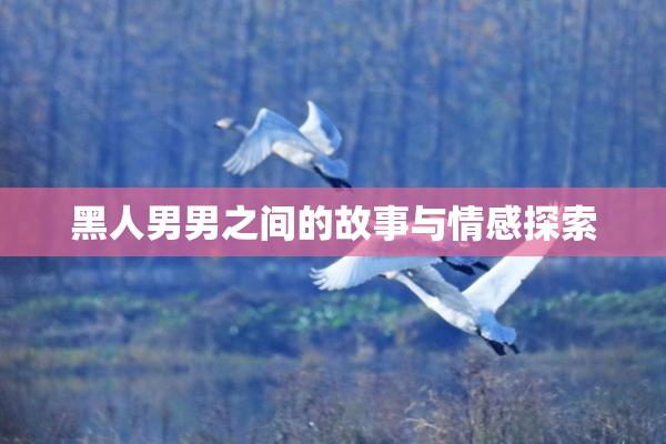黑人男男之间的故事与情感探索