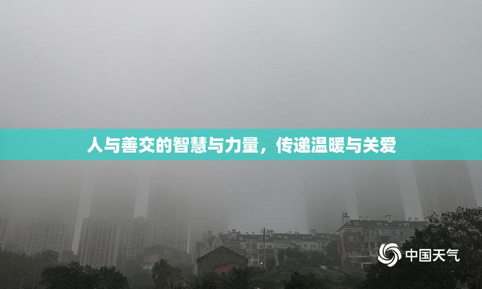人与善交的智慧与力量，传递温暖与关爱