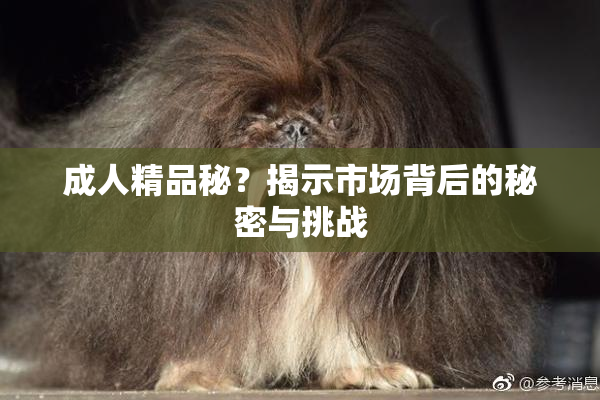 成人精品秘？揭示市场背后的秘密与挑战