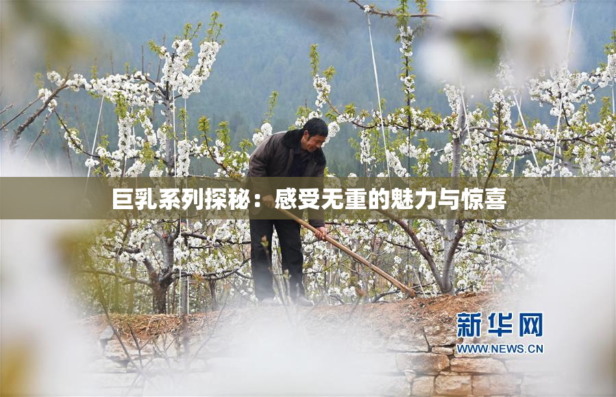 巨乳系列探秘：感受无重的魅力与惊喜