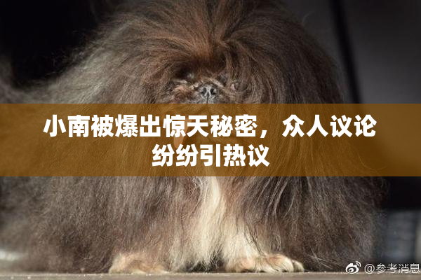 小南被爆出惊天秘密，众人议论纷纷引热议