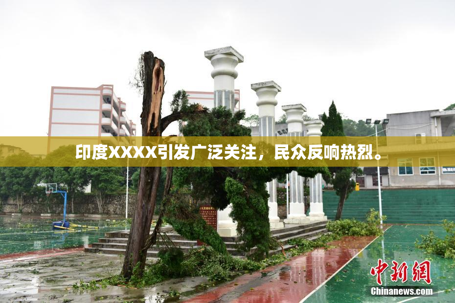 印度XXXX引发广泛关注，民众反响热烈。