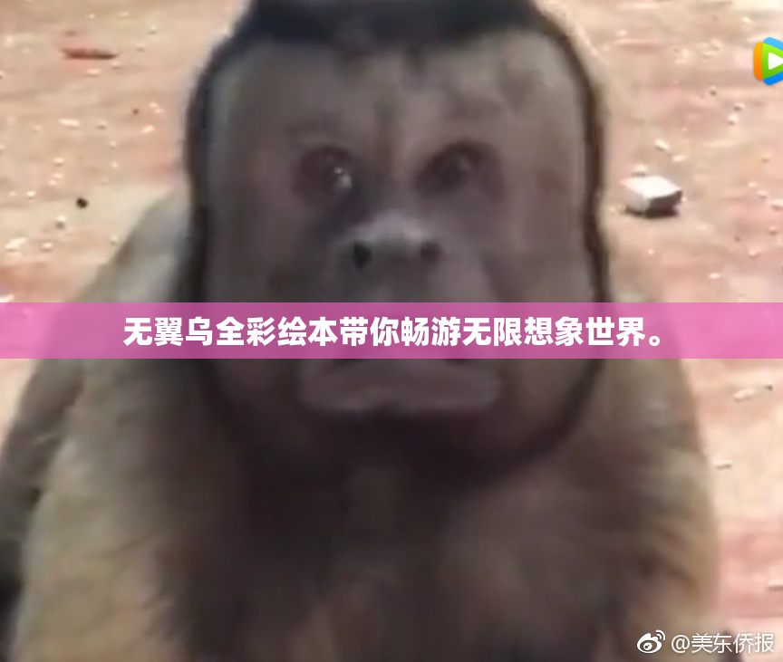 无翼乌全彩绘本带你畅游无限想象世界。